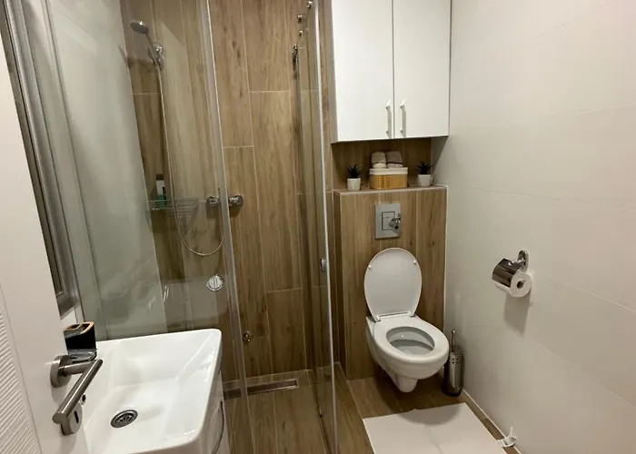 Royal 021 * Újvidék